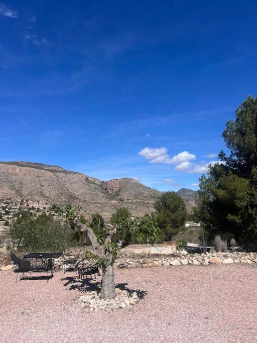 Casa Dusena Estrella Διαμέρισμα Hondón de las Nieves Εξωτερικό φωτογραφία